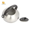 Stainless Steel Water Kettle Manufacturer