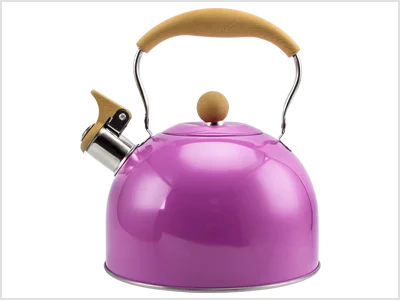 Stainless Steel Whistling Kettles
